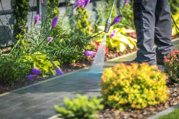 Best Post-Construction Pressure Washing  in , IN